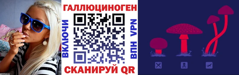 дарнет шоп  Лермонтов  кракен ТОР  Псилоцибиновые грибы Magic Shrooms 